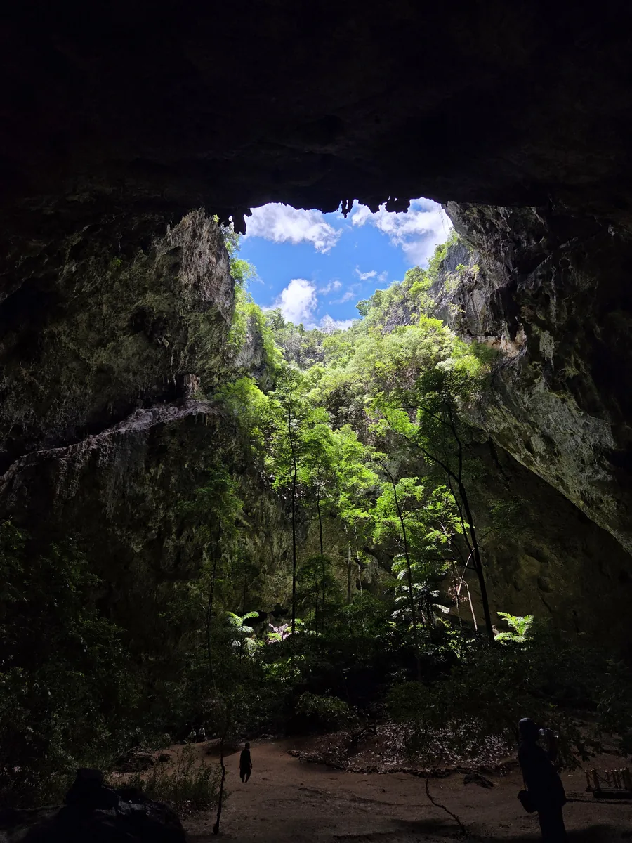Looking up through the open roof of Phraya Nakhon cave