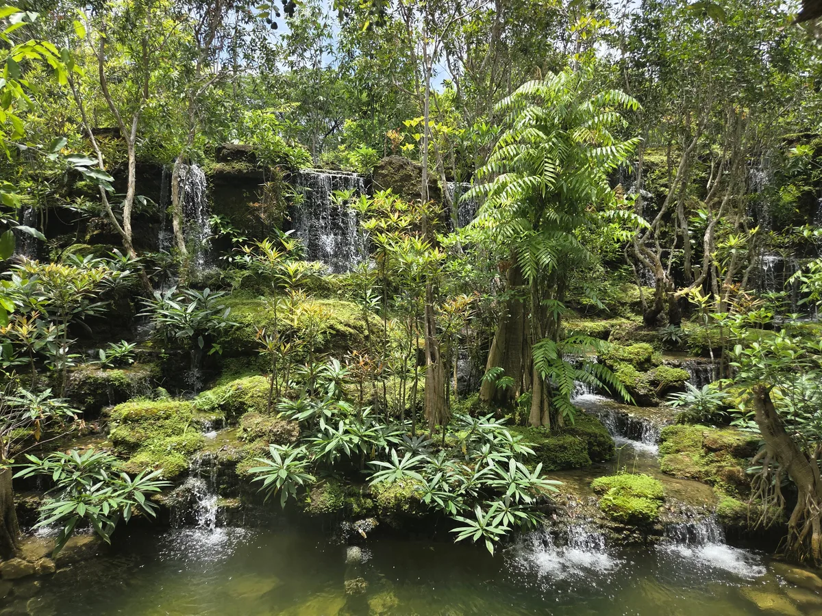 Waterfall garden in lush green