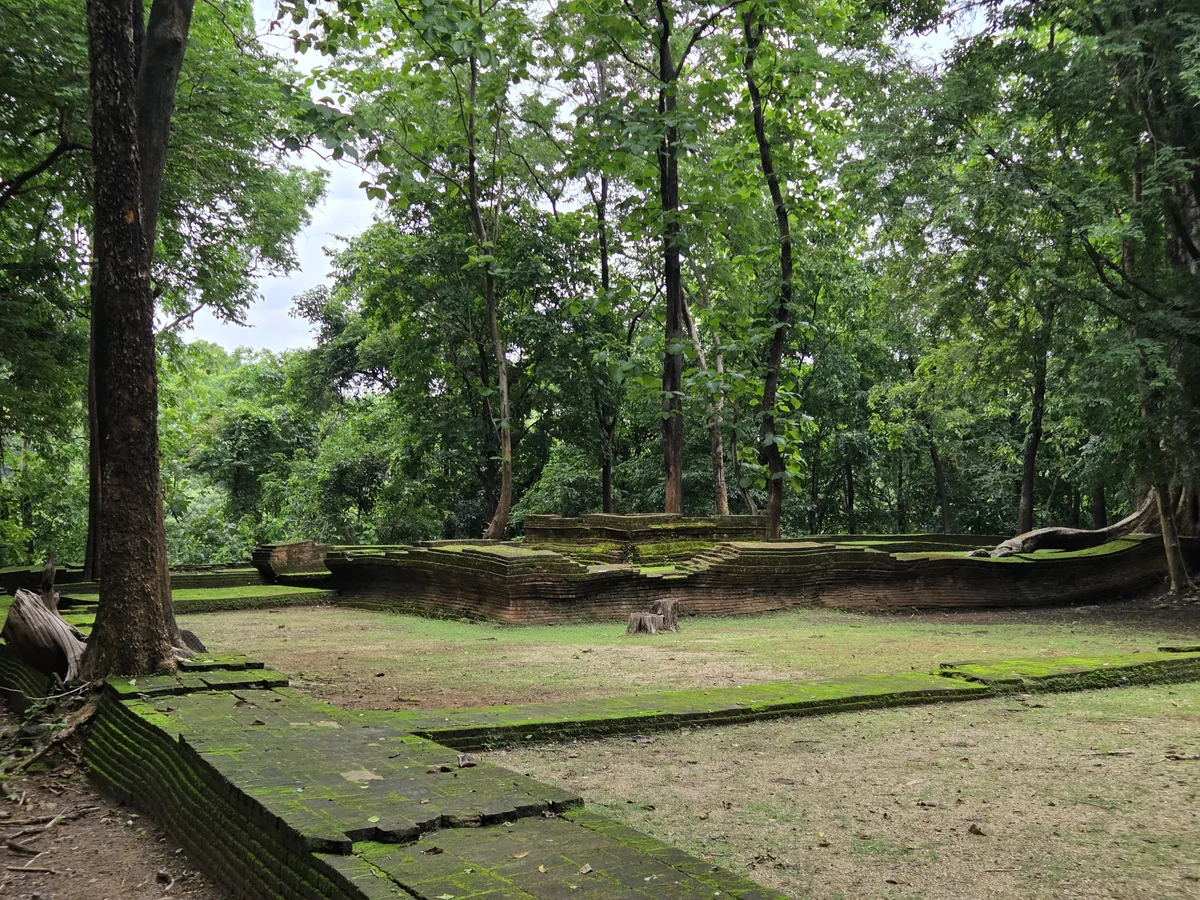 Mossy temple ruins in the forest
